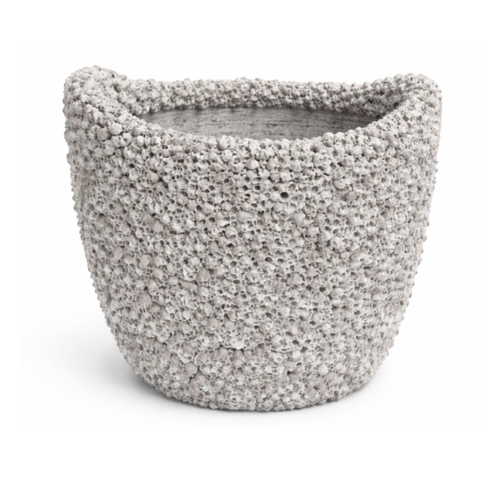 INDO - BARNACLE PLANTER OPEN - LARGE
