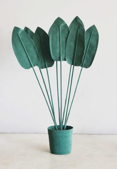 ESTRELICIA PLANT