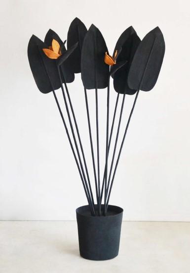 ESTRELICIA PLANT