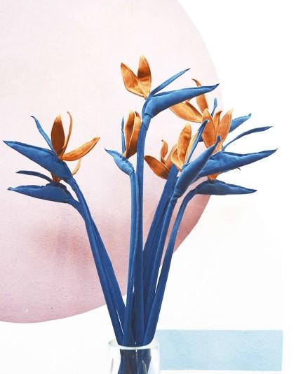 ESTRELICIA FLOWER PLANT