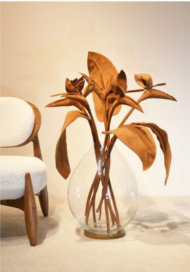 ESTRELICIA LEAF PLANT