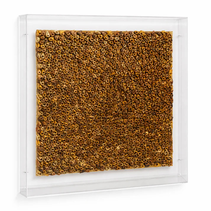 LN - OURICO FRAMED - ACRYLIC BOX
