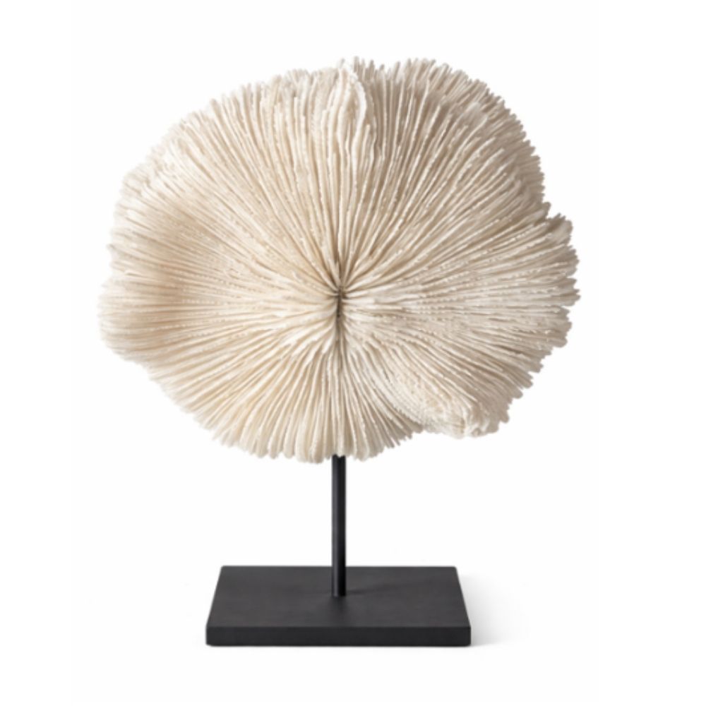 INDO - CORAL SCULPTURE