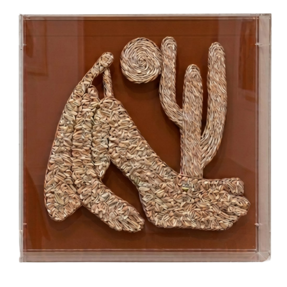 LN - ABAPORU TARCILA FRAMED - ACRYLIC BOX