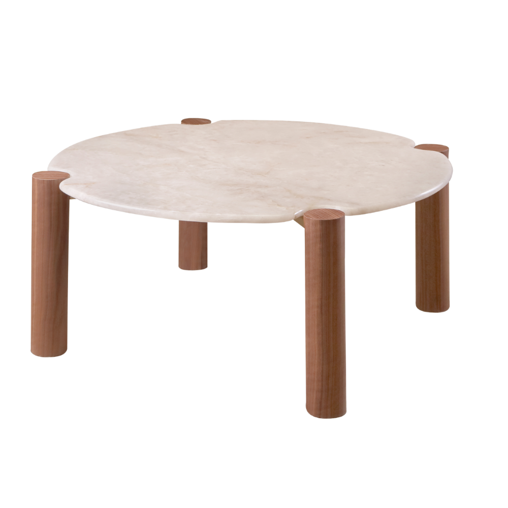 TURTLE COCKTAIL TABLE