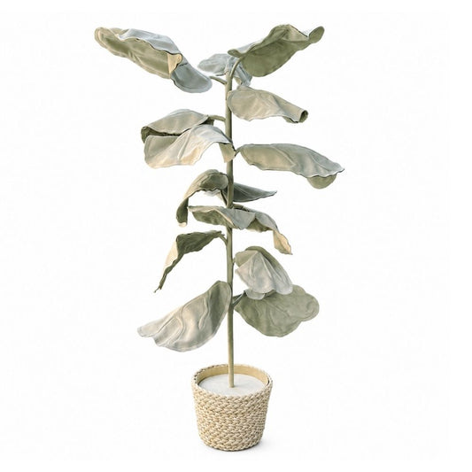 LIRATA PLANT