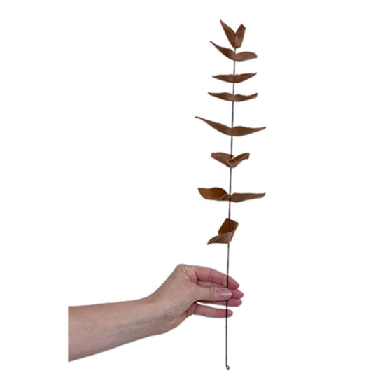 ZAMIOCULCA STEM
