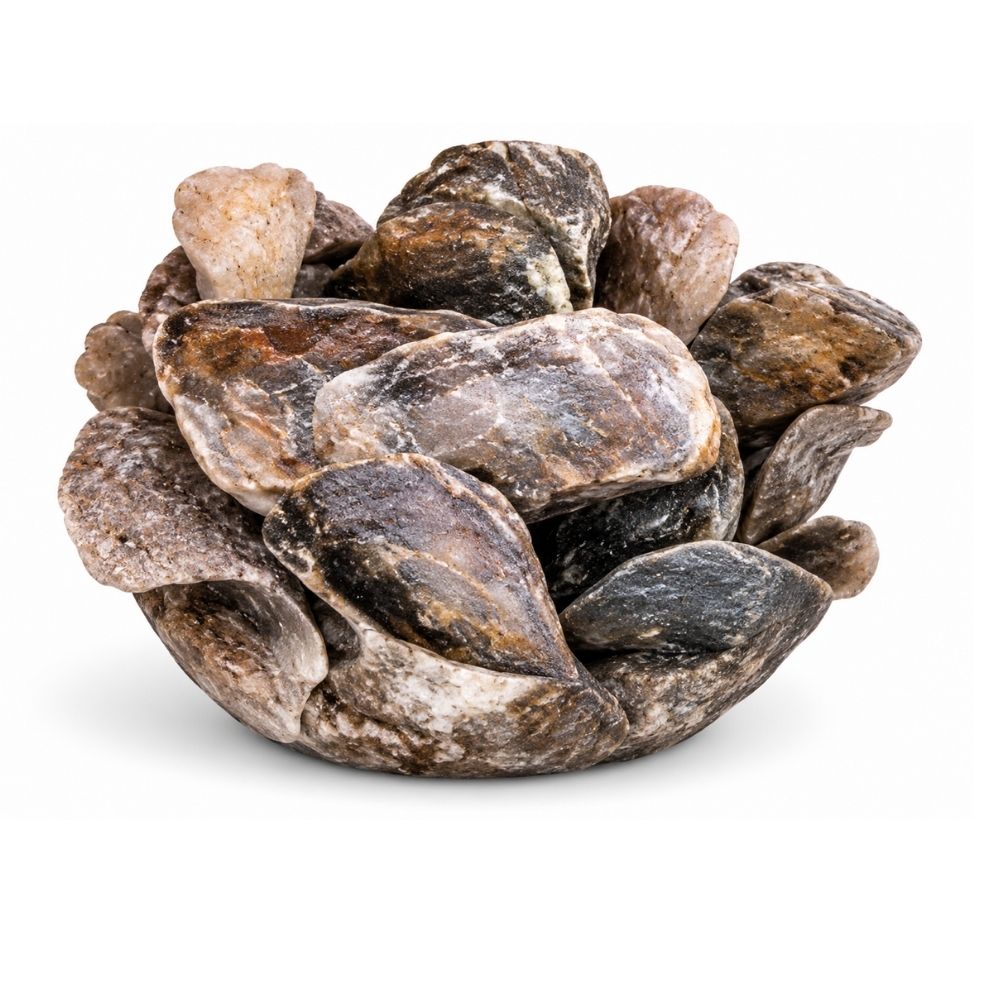 INDO - GIANT OYSTER VASE