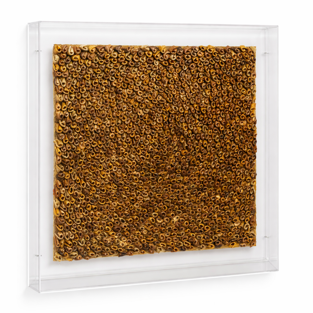 FOLHA COURO FRAMED - ACRYLIC BOX