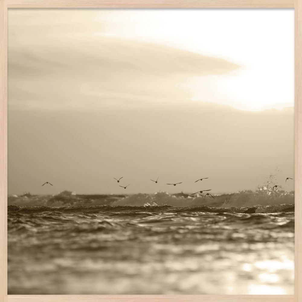 QA - SUNSET SEPIA