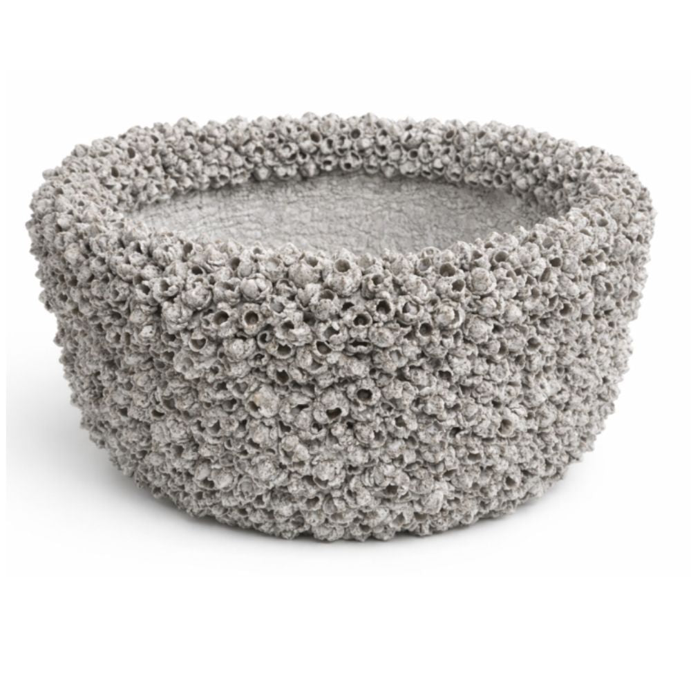 INDO - BARNACLE CACHEPOT