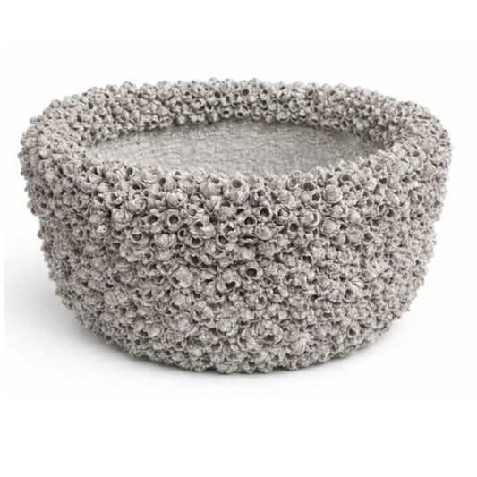 INDO - BARNACLE CACHEPOT
