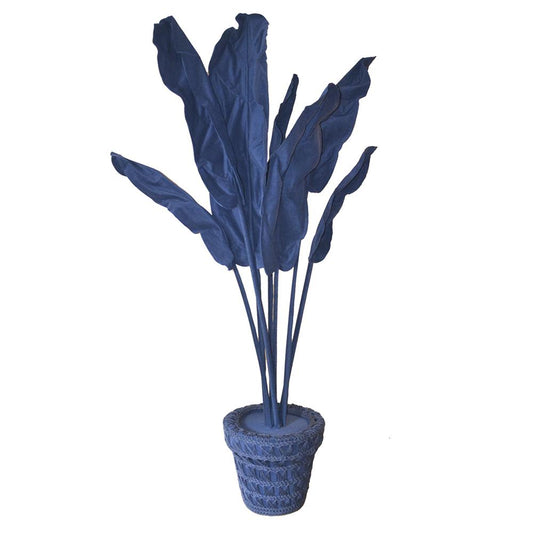 BANANEIRA PLANT