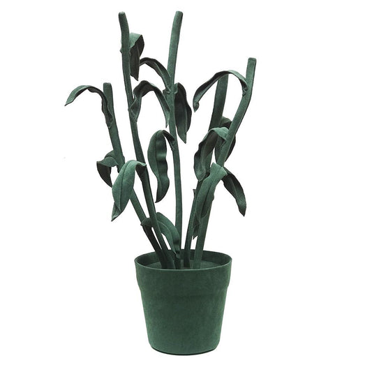 BAMBU PLANT