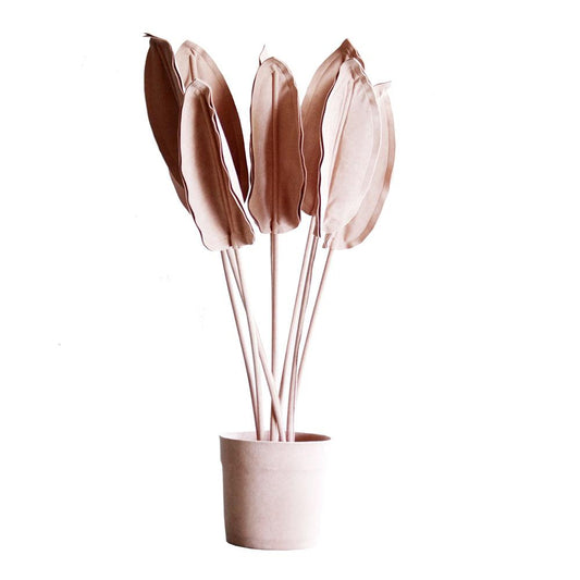 ESTRELICIA PLANT