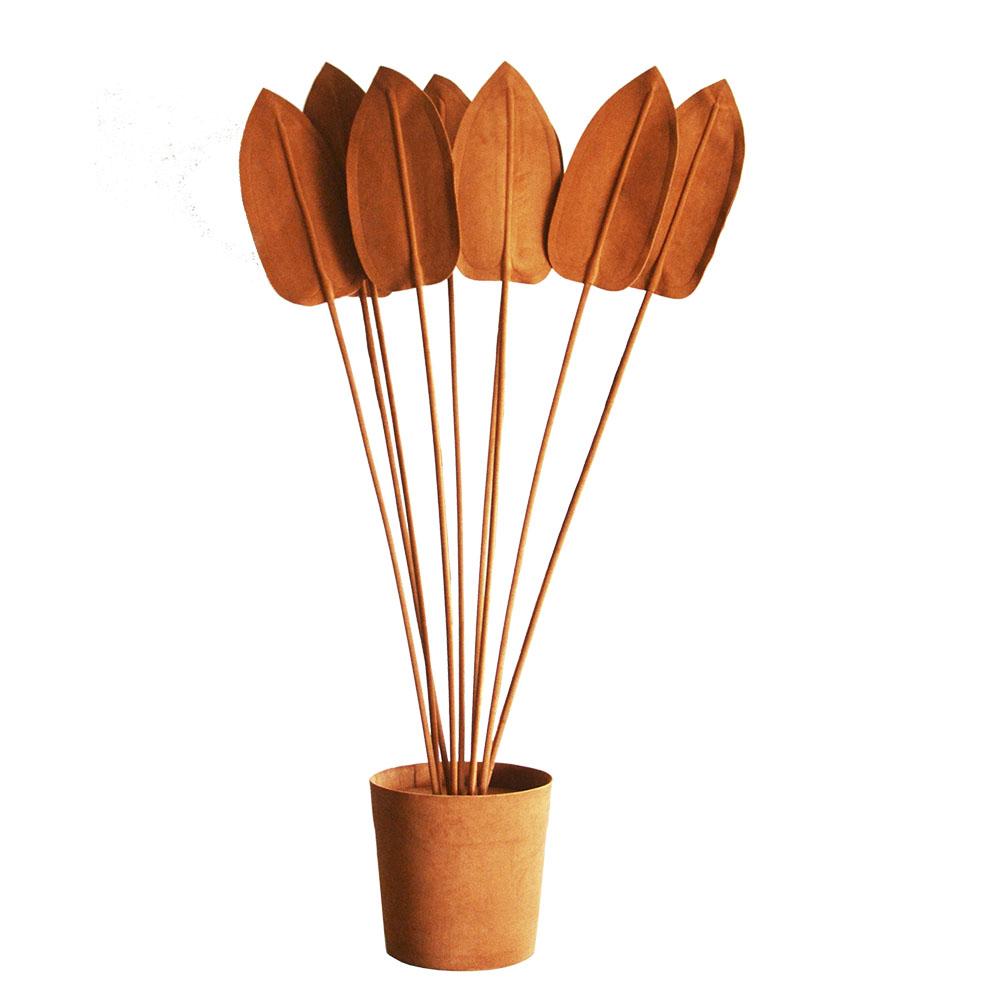 ESTRELICIA PLANT