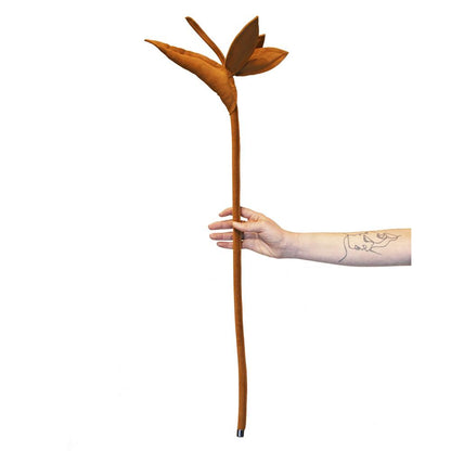 ESTRELICIA FLOWER PLANT