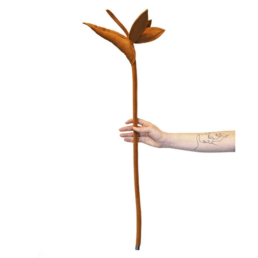 ESTRELICIA FLOWER PLANT