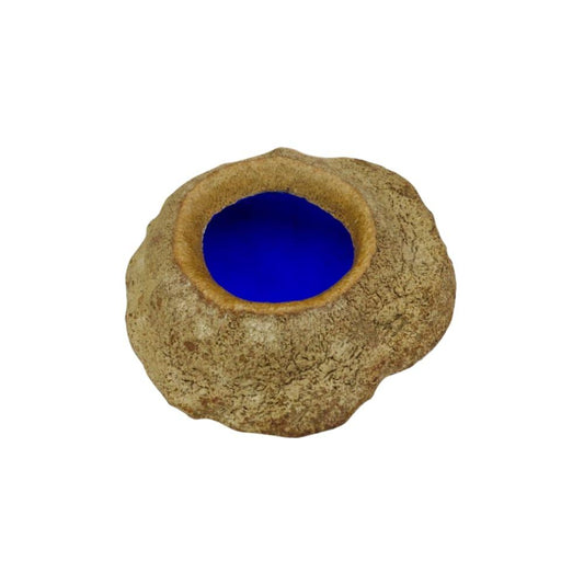 SAPUCAIA  BLUE