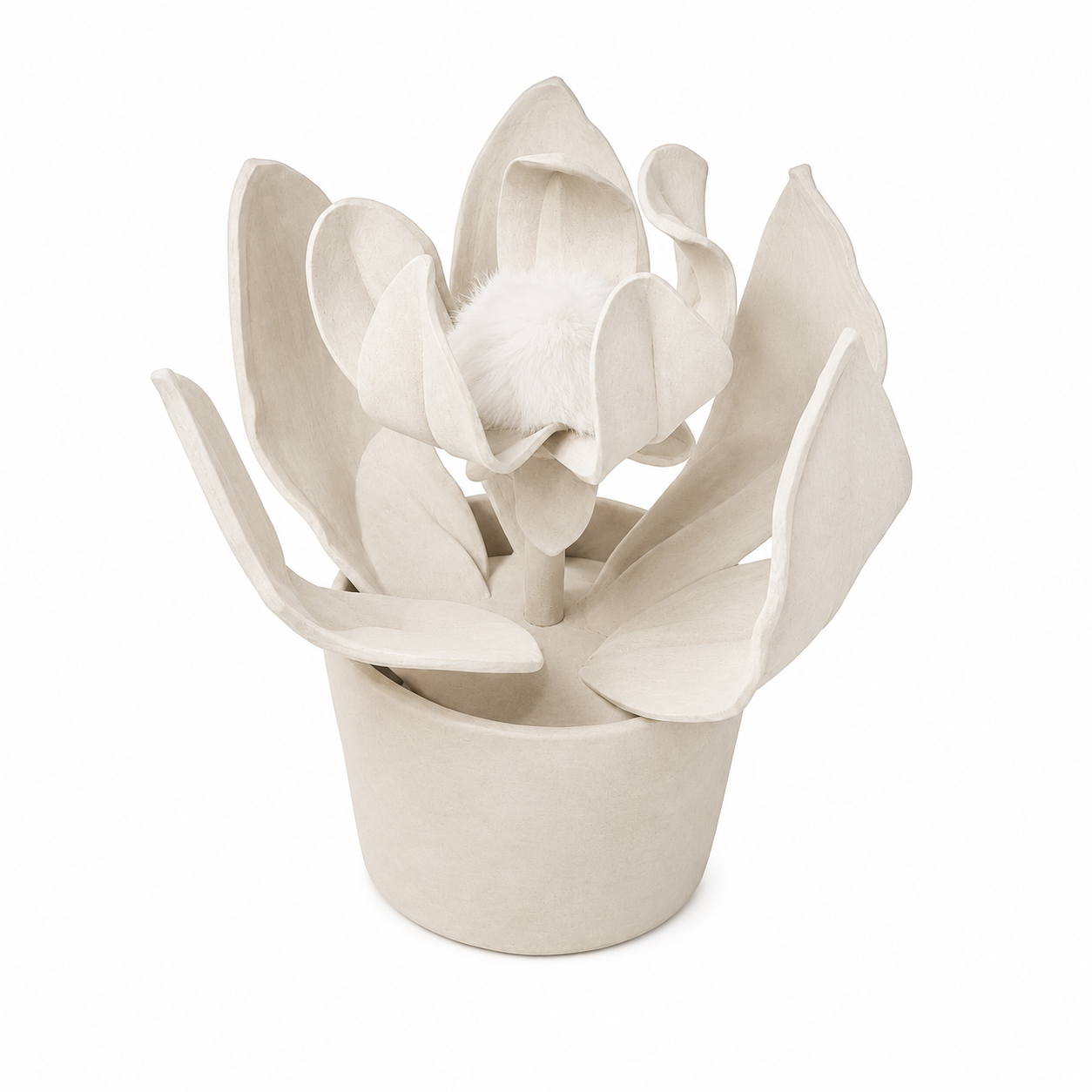 PROTEA MINI PLANT