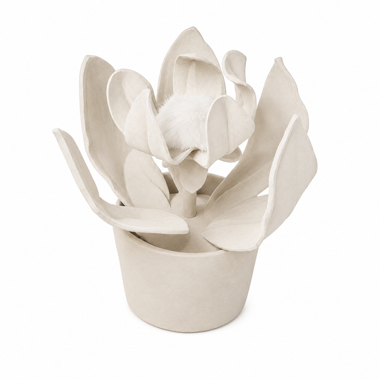 PROTEA MINI PLANT