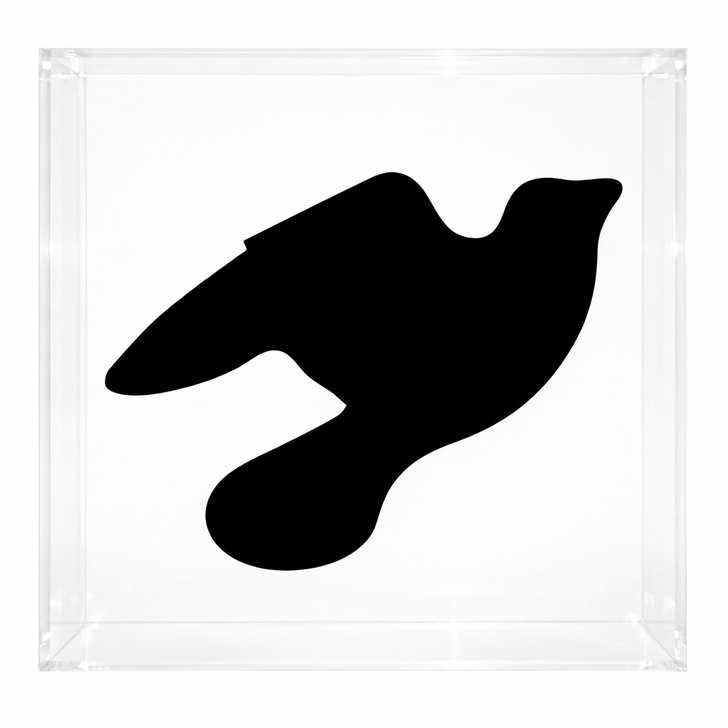 SWALLOW IN THE ACRYLIC