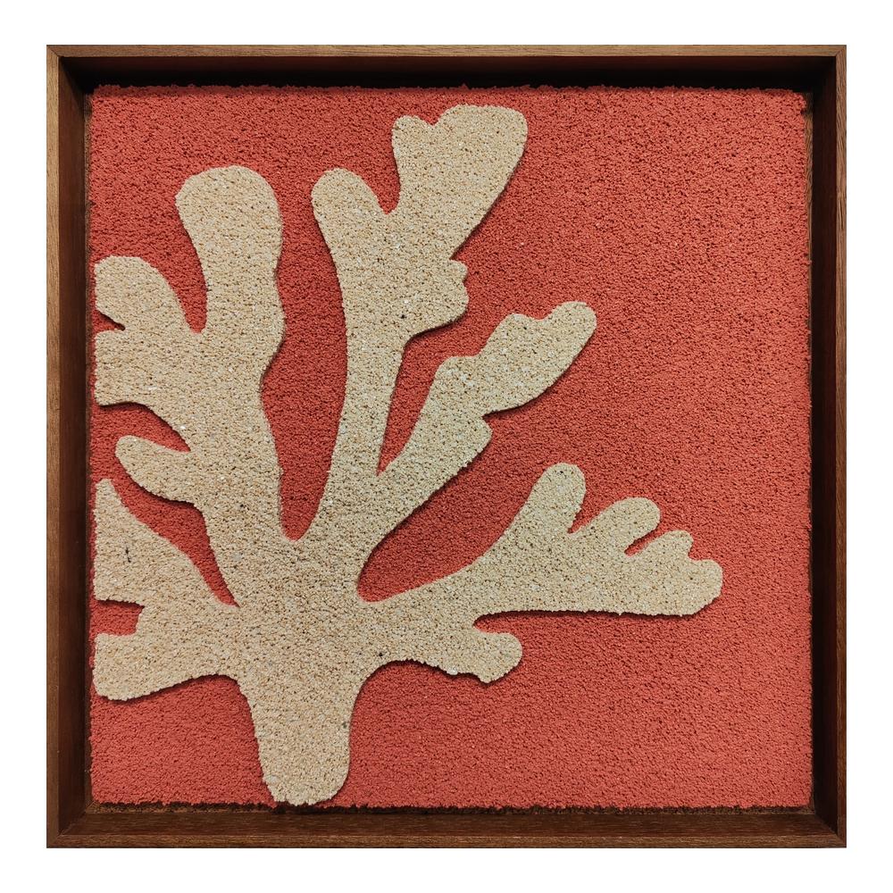 REEF FRAMED
