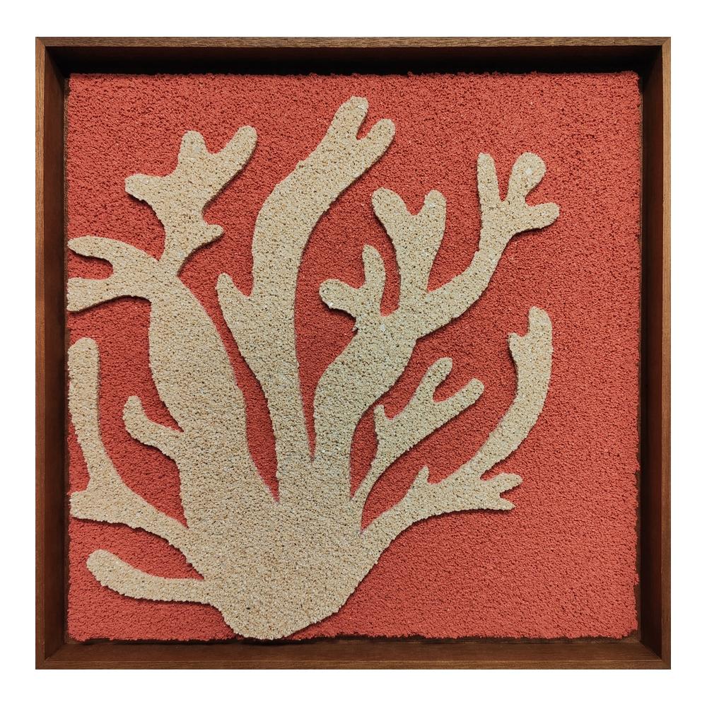 REEF FRAMED