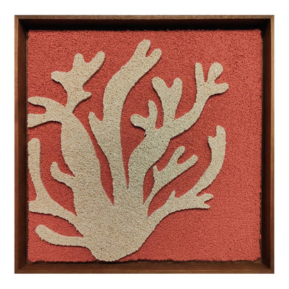 REEF FRAMED