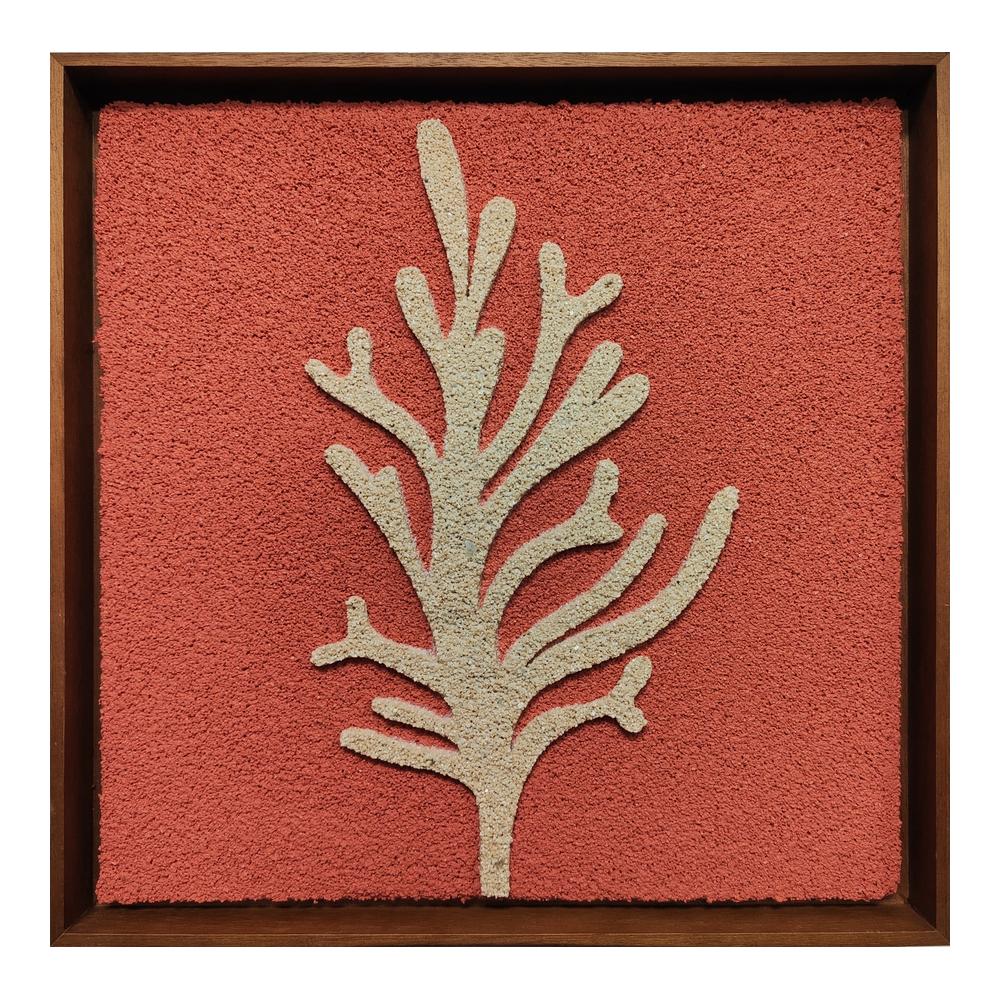 REEF FRAMED
