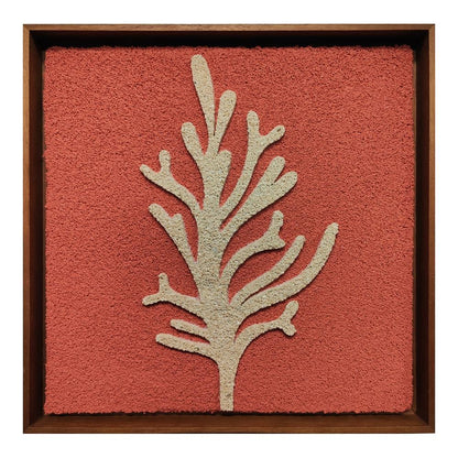 REEF FRAMED
