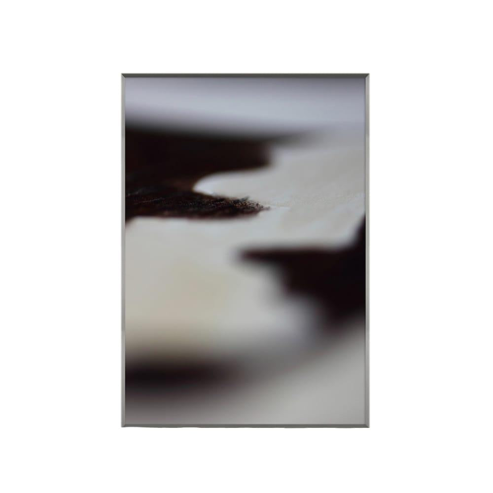 VINETA COOK IMAGINARY WORLD PRINT