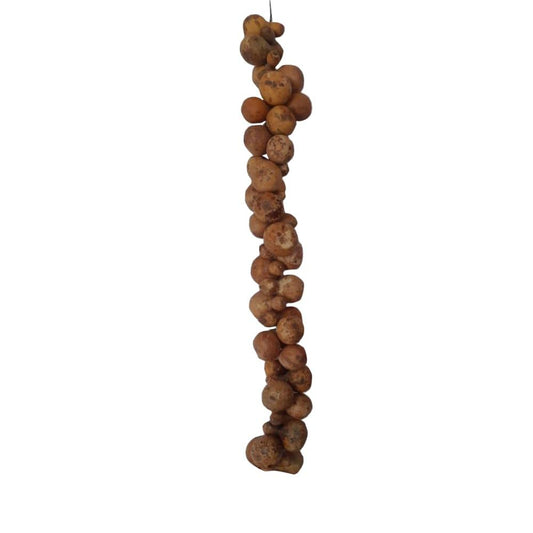 NATURAL GOURD STRIP