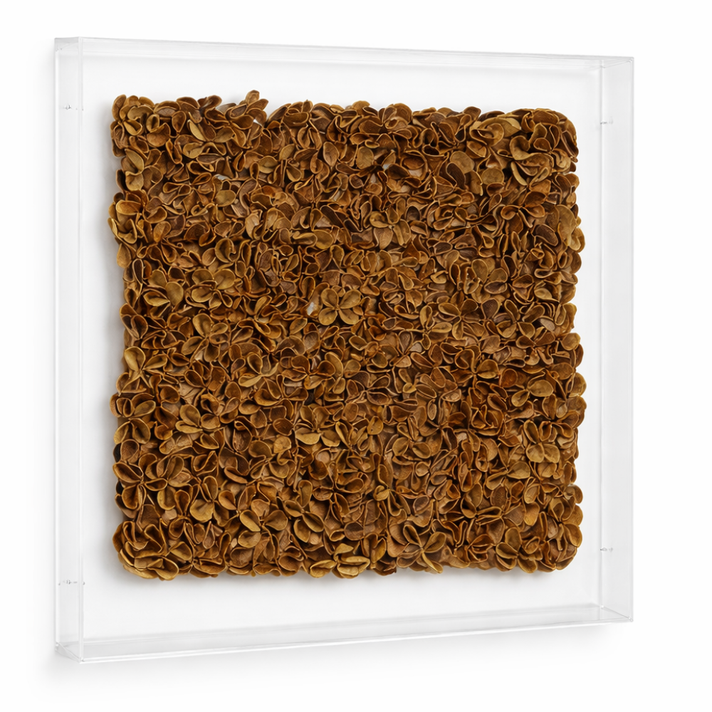 OURICO FRAMED - ACRYLIC BOX