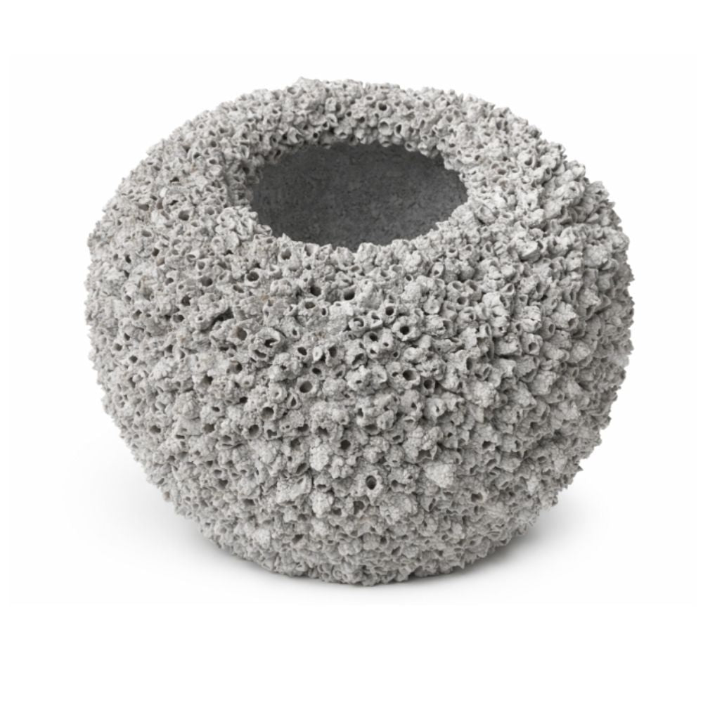 INDO - BARNACLE VASE