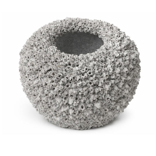 INDO - BARNACLE VASE