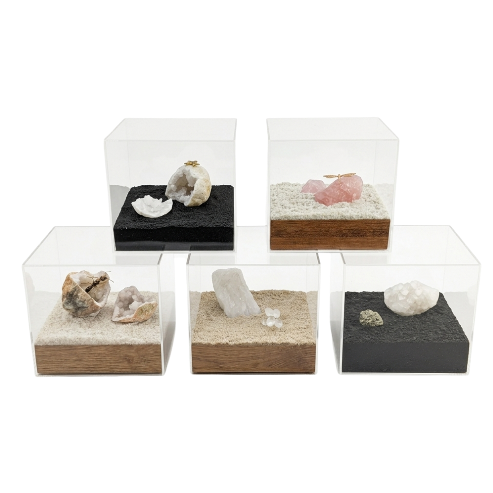Spectacular Box QA - SURPRISE ACRYLIC BOX – RSCollection