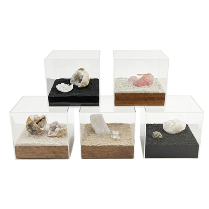 SURPRISE ACRYLIC BOX